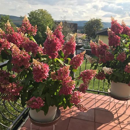 Haus Buena Vista Otel Bad Kissingen Dış mekan fotoğraf