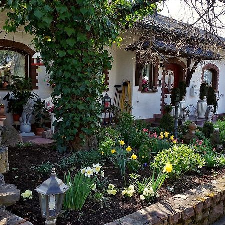 Haus Buena Vista Otel Bad Kissingen Dış mekan fotoğraf