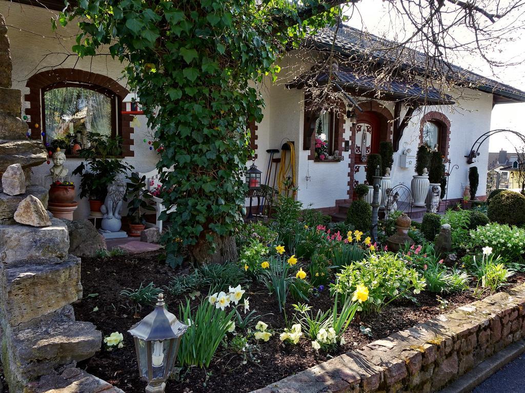Haus Buena Vista Otel Bad Kissingen Dış mekan fotoğraf